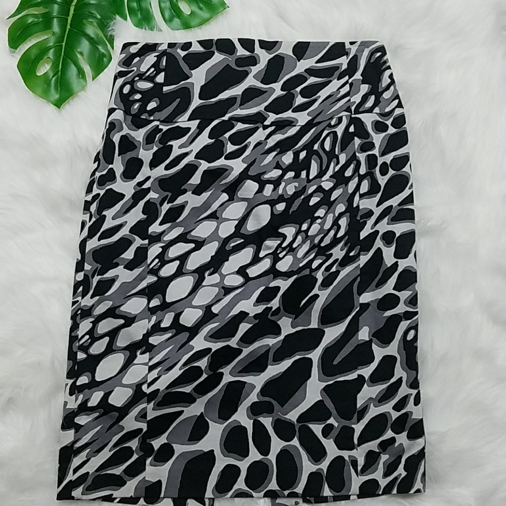 EXPRESS SKIRT